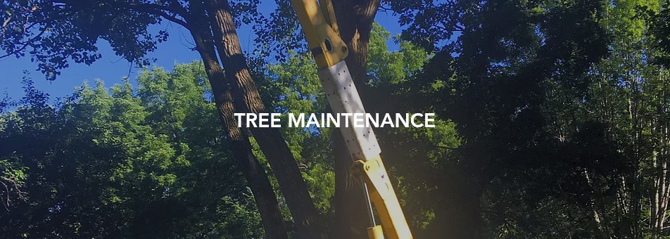 Assessor Information